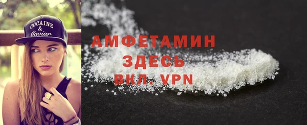 шишки Абаза