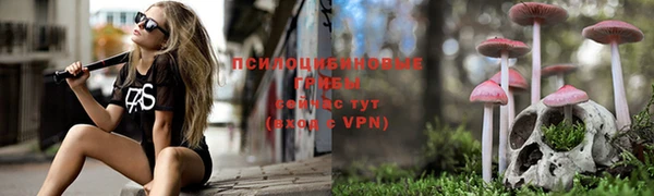 a pvp Алзамай