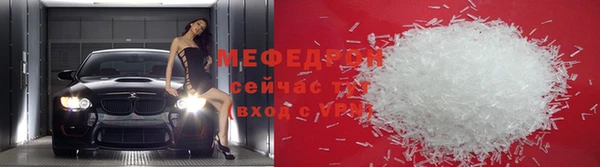 шишки Абаза