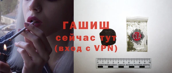 шишки Абаза