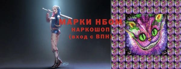 шишки Абаза