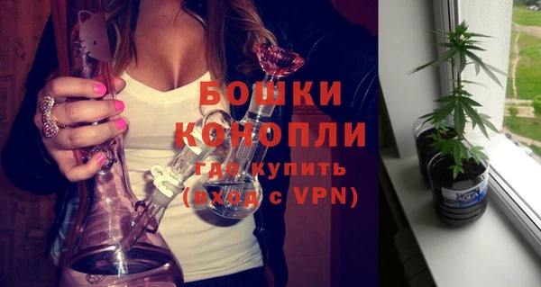 шишки Абаза