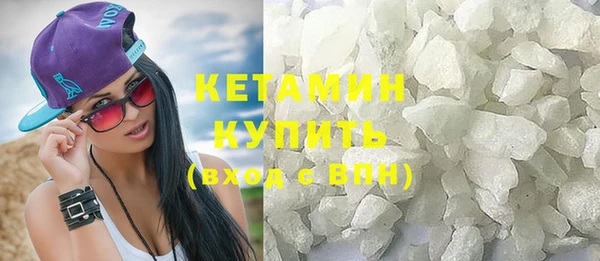 шишки Абаза