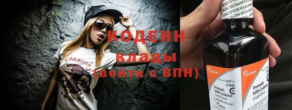 шишки Абаза