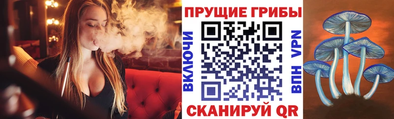 Галлюциногенные грибы GOLDEN TEACHER Шебекино